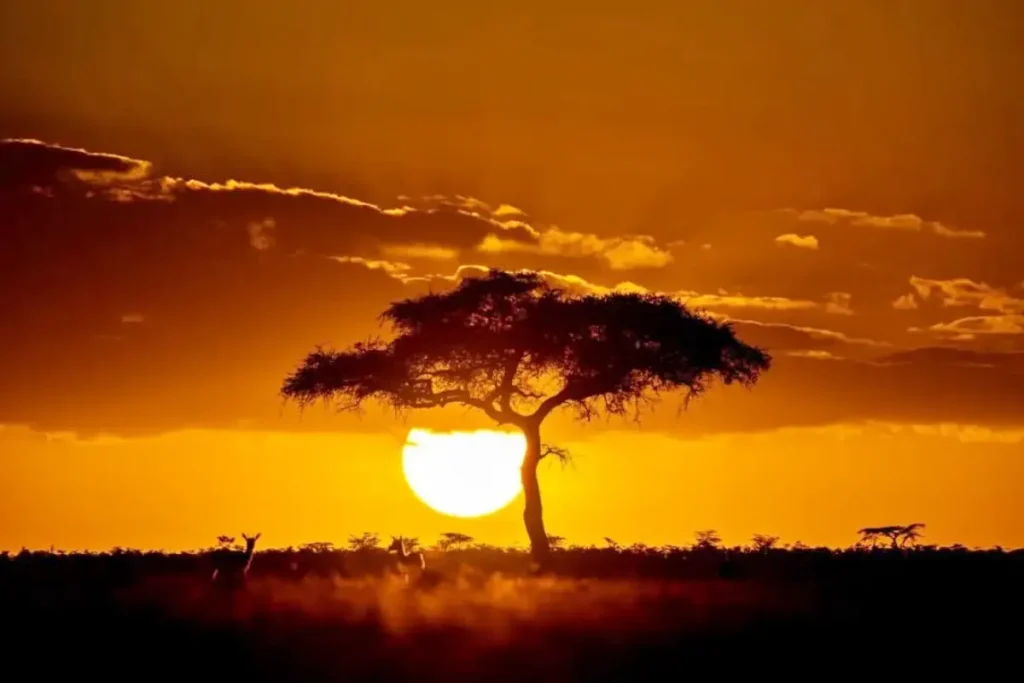 coucher de soleil - Wakari Africa Safaris