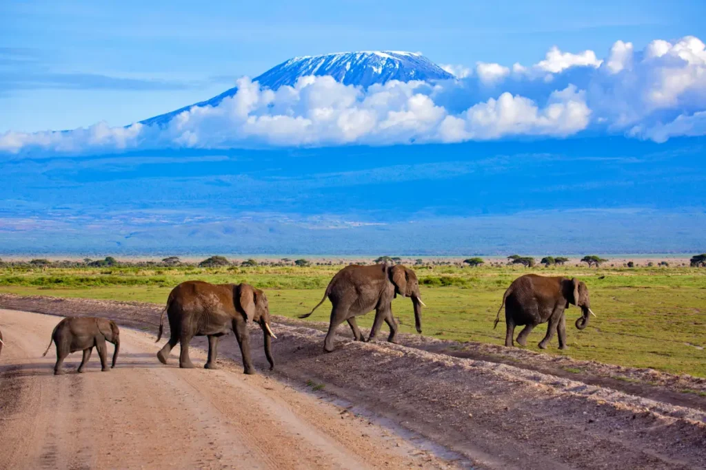 3b798bb9c63fa3df34919f6f59db603a34f85483-2160x1440 - Wakari Africa Safaris