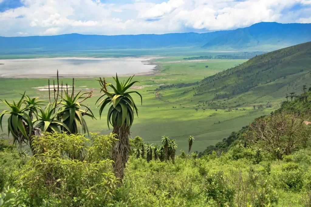 B8FAA15B7F00010130DCFDDCFC911E4C - Wakari Africa Safaris