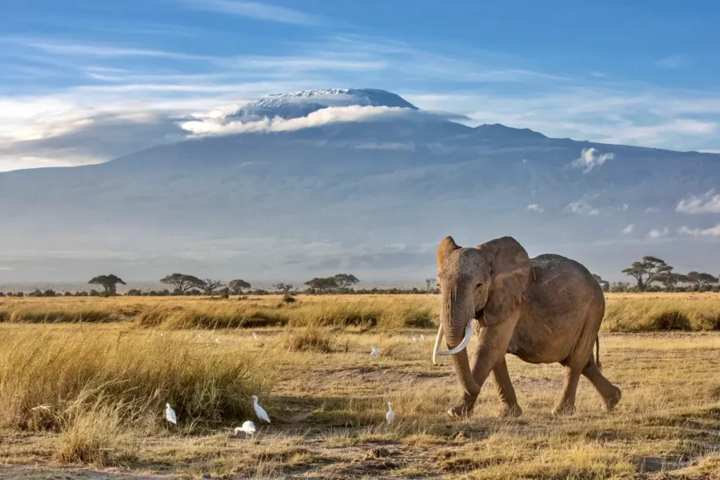 Enchanting-Travels-Africa-Tanzania-1 - Wakari Africa Safaris