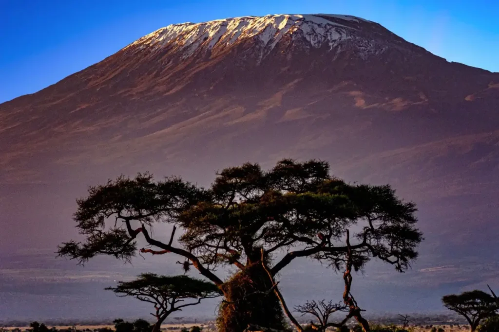 Kilimanjaro - Wakari Africa Safaris