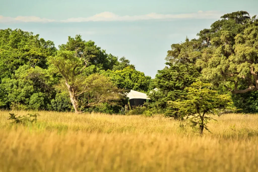 Mara Plains Tent Exterior View_1 - Wakari Africa Safaris