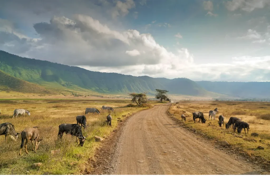 Ngorongoro-Crater - Wakari Africa Safaris