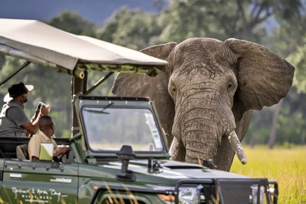 elephant_jeep_4 - Wakari Africa Safaris