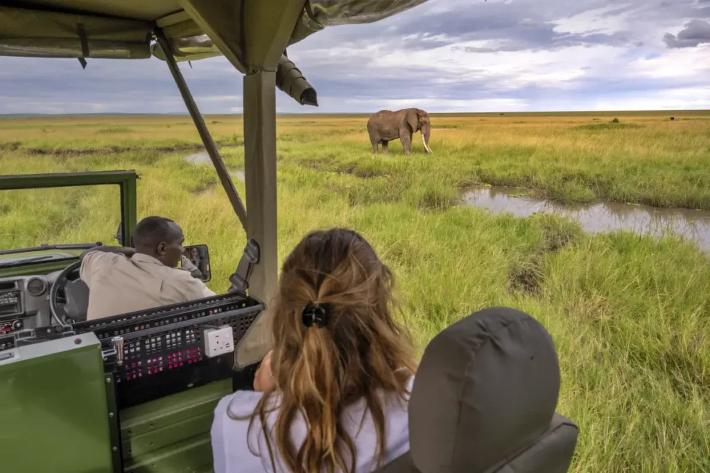 guests_on_safari-6 - Wakari Africa Safaris