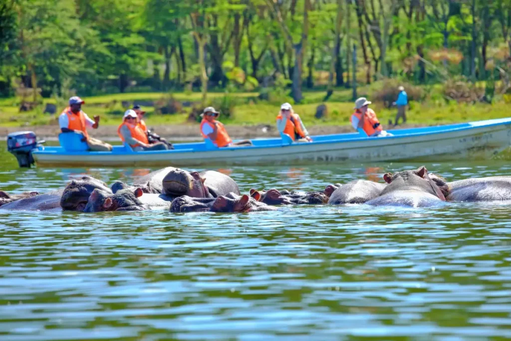 ie7sp1eq5ylnxpz8p3ndgqrxc8ea_1620315570_shutterstock_1037323825 - Wakari Africa Safaris