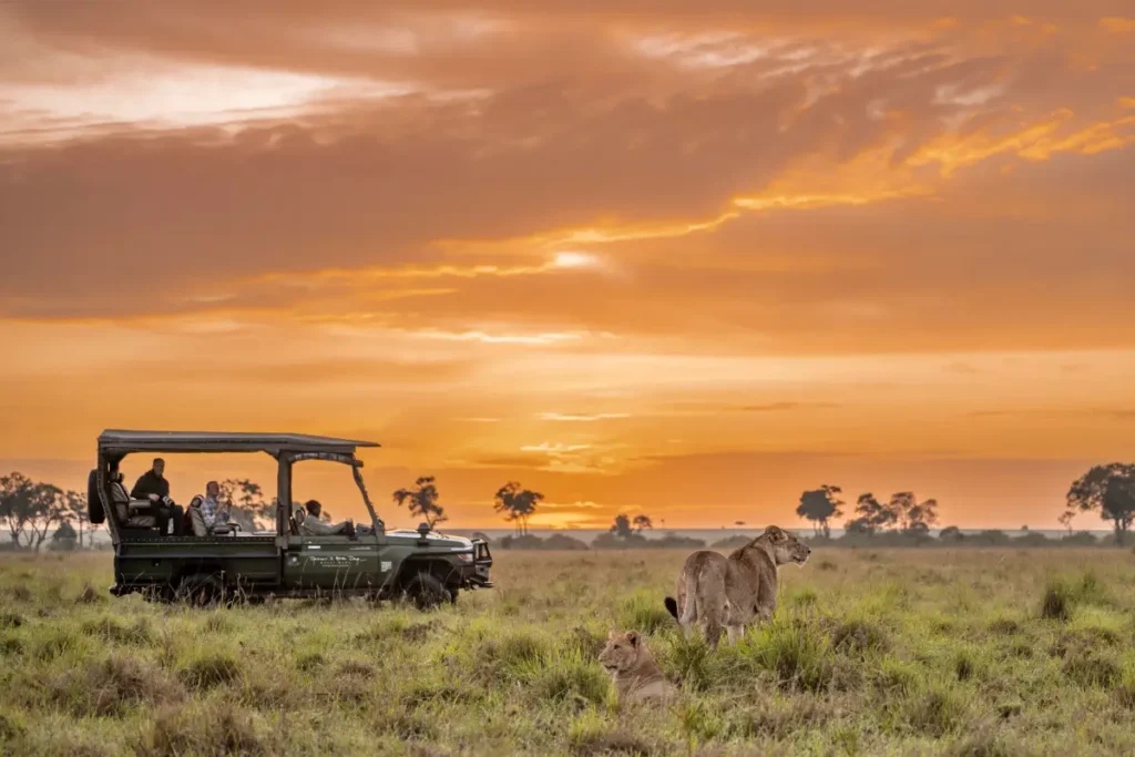 marsh_pride_sunrise-21 - Wakari Africa Safaris