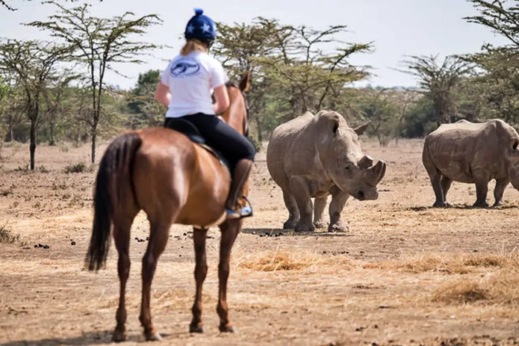 nwr_2 - Wakari Africa Safaris