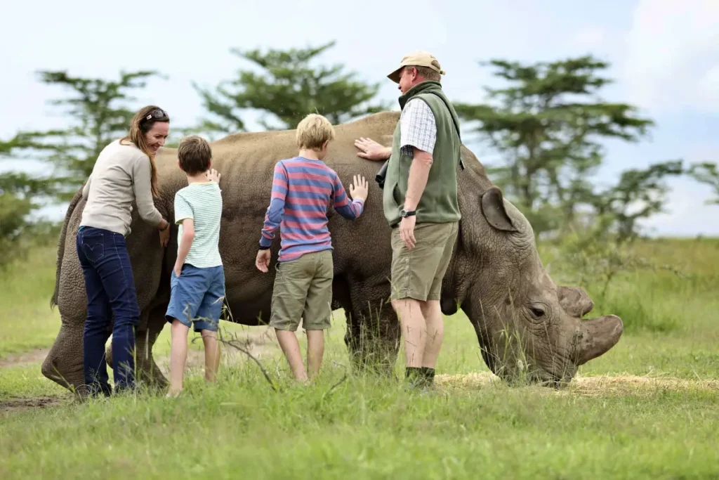 opbc-petting-rhino1 - Wakari Africa Safaris